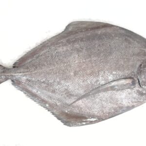 Black Pomfret